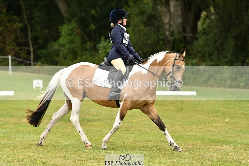 250820A-125132-05675 - 12 to 13.00