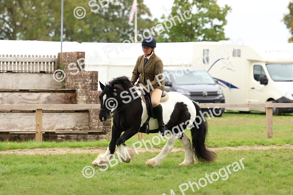 SBM_64615 - S58 - Coloured Pony Ridden