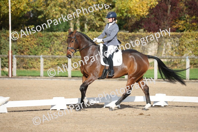 20251102-1090 - Class 6 - Elementary 6