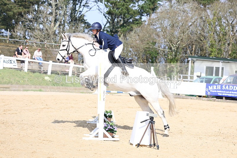 3E7A6617 - Class 4: Senior British Novice/90cm open