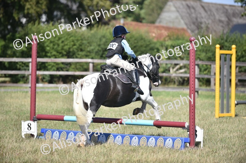 20260906-1715 - Class 9 - Absolute Novice Jumping 45cm