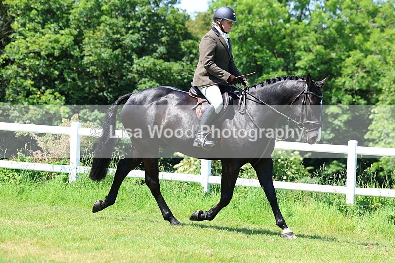 3E7A7153 - Class 30: Novice Working Hunter