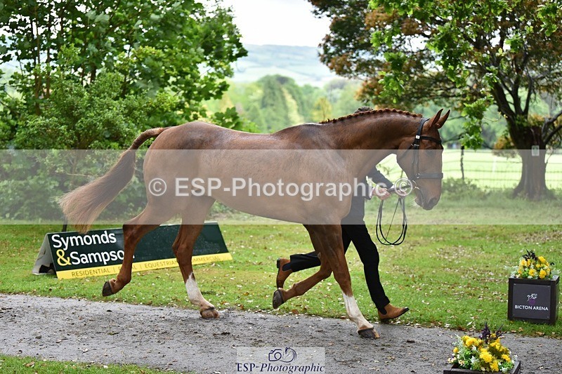 240522-161358-00801 - 159-WICKLOW_INTO_ORBIT-Lucy_Richards