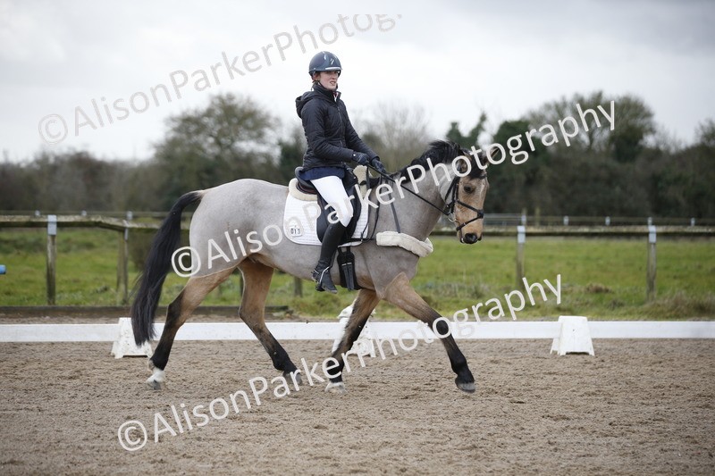 20260127-0396 - Class 17 - BD Novice 3