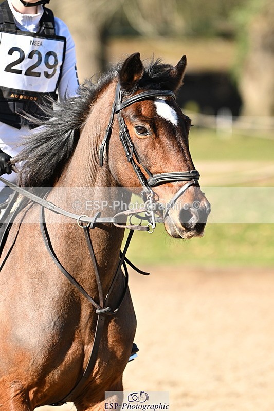 250302A-102937-01502 - Cls 01 70-75cm