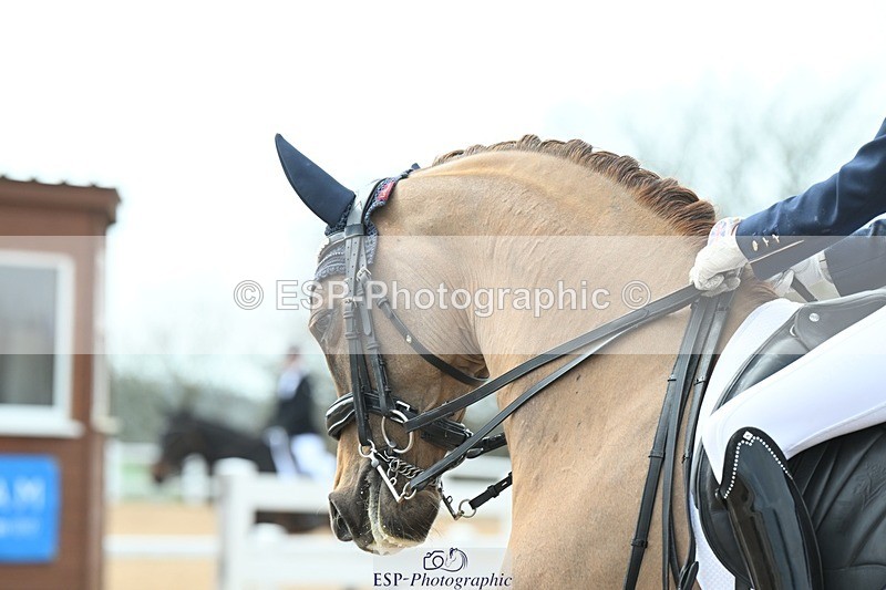 250403-123456-02373 - 061-Violet.Hawkins-DZL.Royal.Sunrise