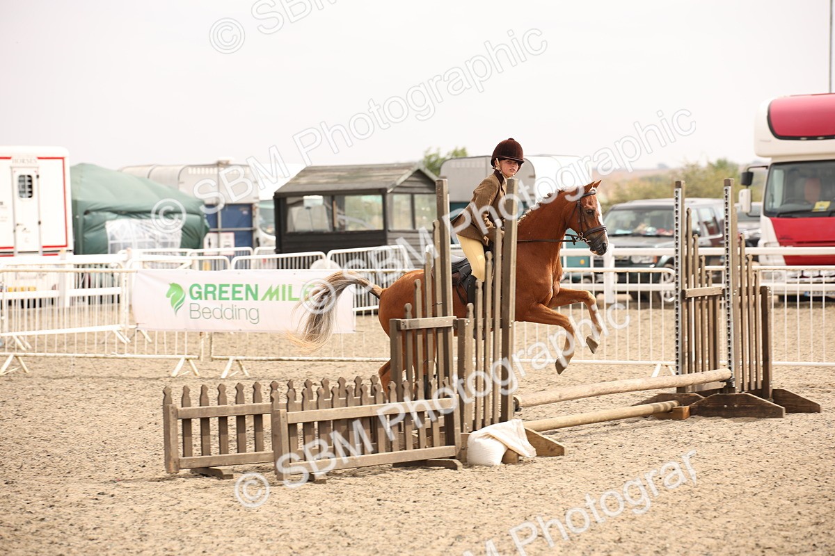 SBM_12612 - Class 405b - M&M Working Veteran 50cm 20+