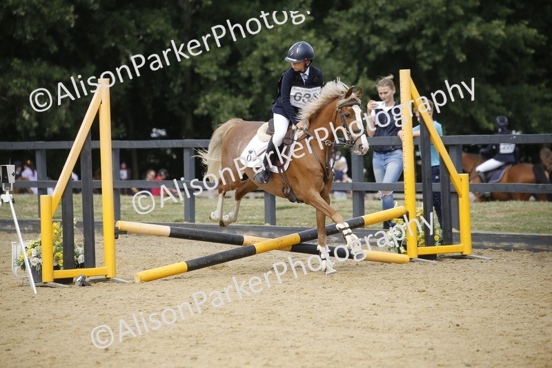 20250622-4042 - 50cm