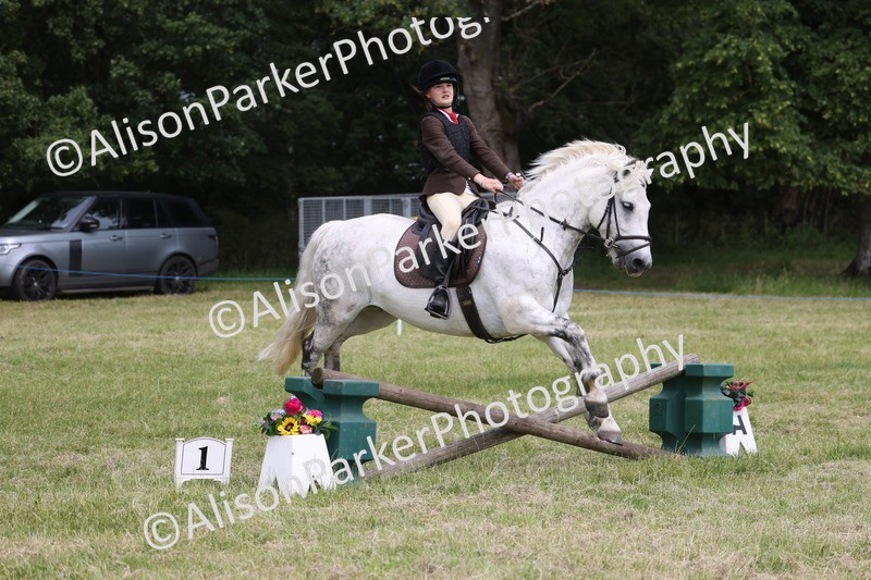 20260614-2990 - Class 22 - Open Working Hunter