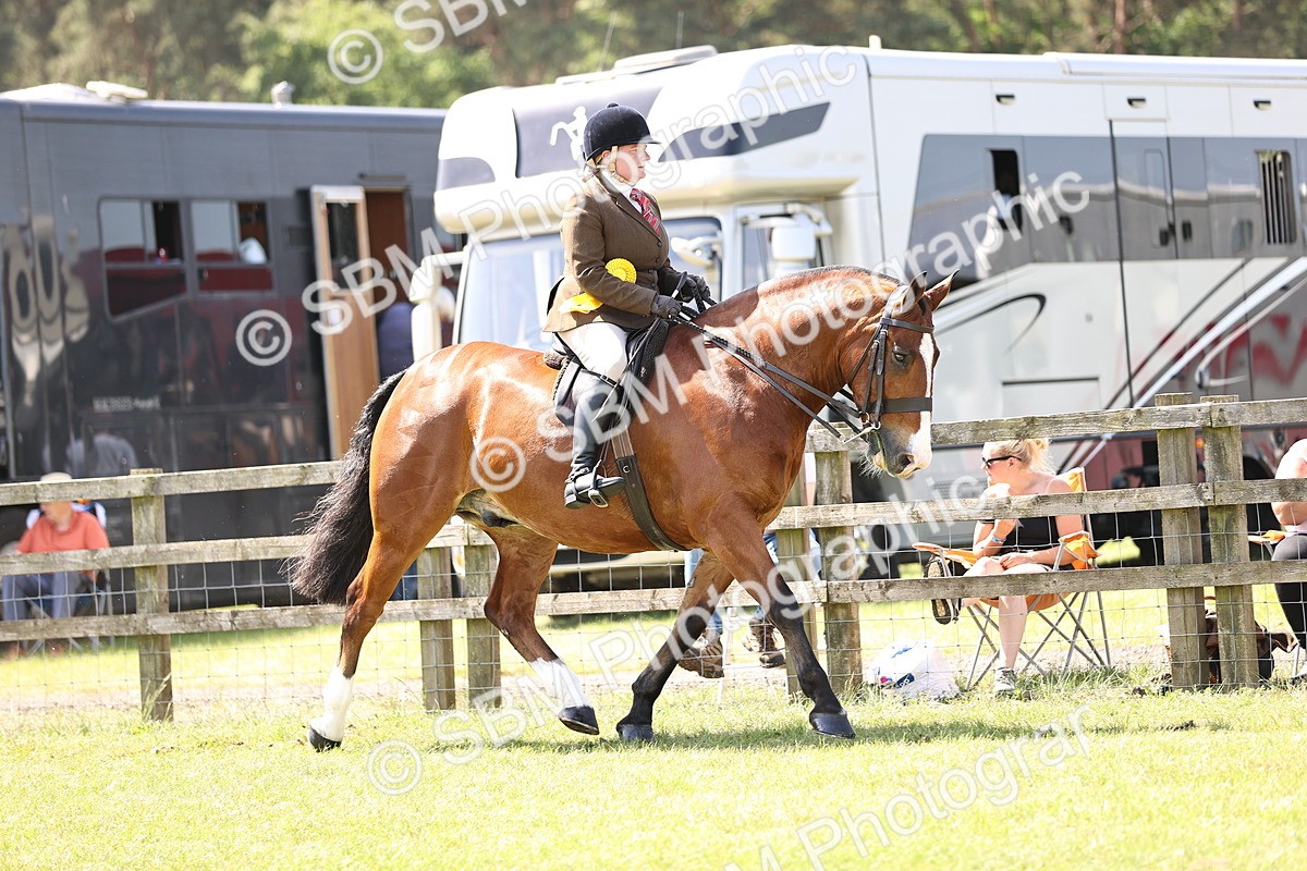 SBM_13850 - Class 77 - LIHS BSHA Rising Star Cobs