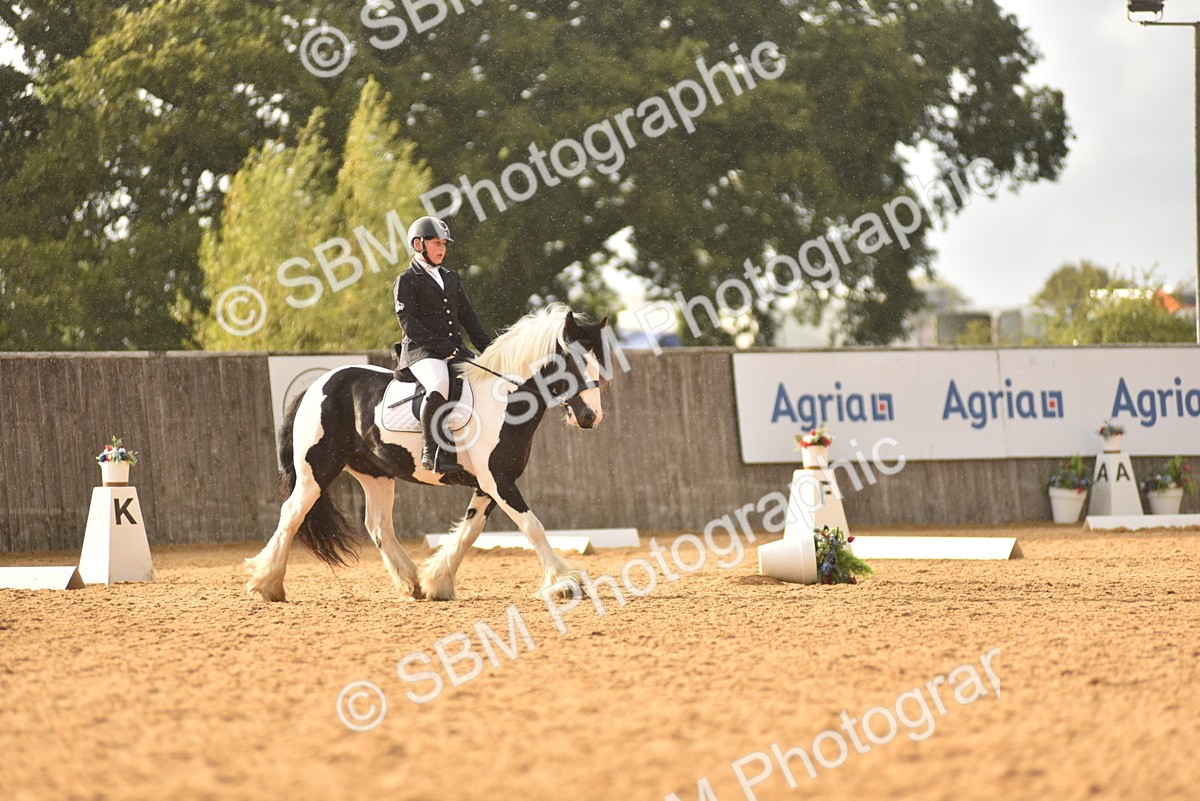 SBM_29769 - D16 -Small Tour Championship Novice 2