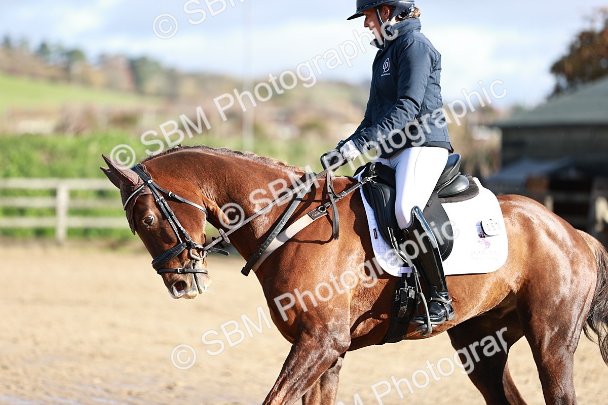 SBM_000343 - Ele 4