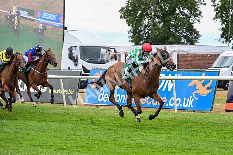 070826-Race 5-Master Vintner-1988 - Race 5 16.10pm William Hill, Market Place, Thirsk Handicap