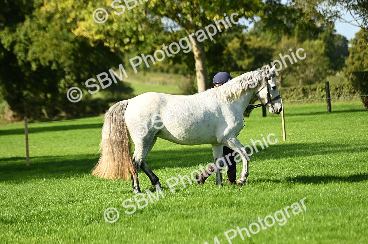 SBM_15824 - S1 - TSR in Hand Horse & Pony Showing
