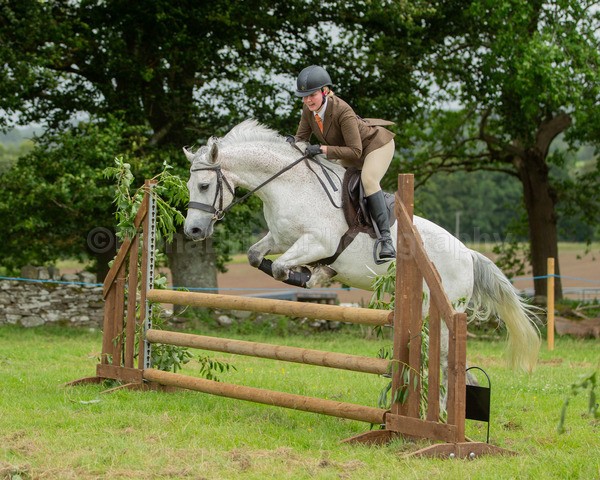 Dunblane show-580 - Dunblane and Doune Show Ring 1