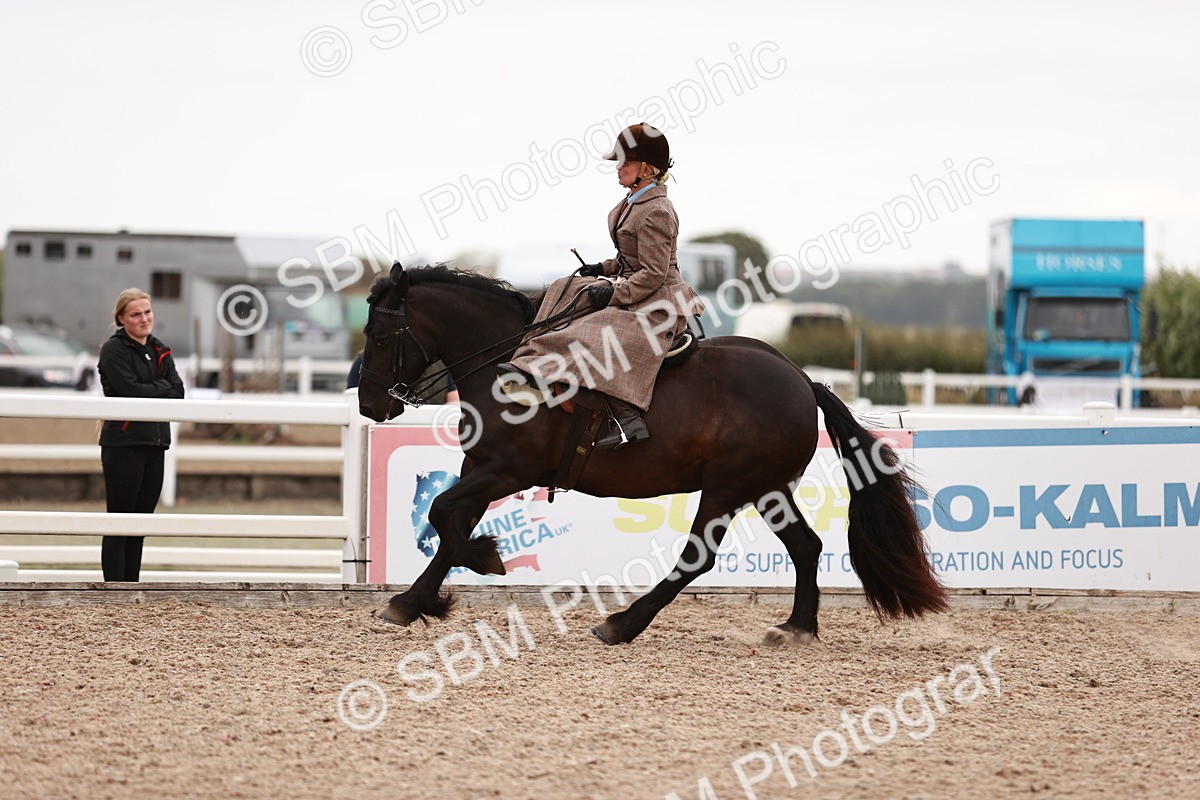 SBM_19045 - Class 422 - Ridden M&M