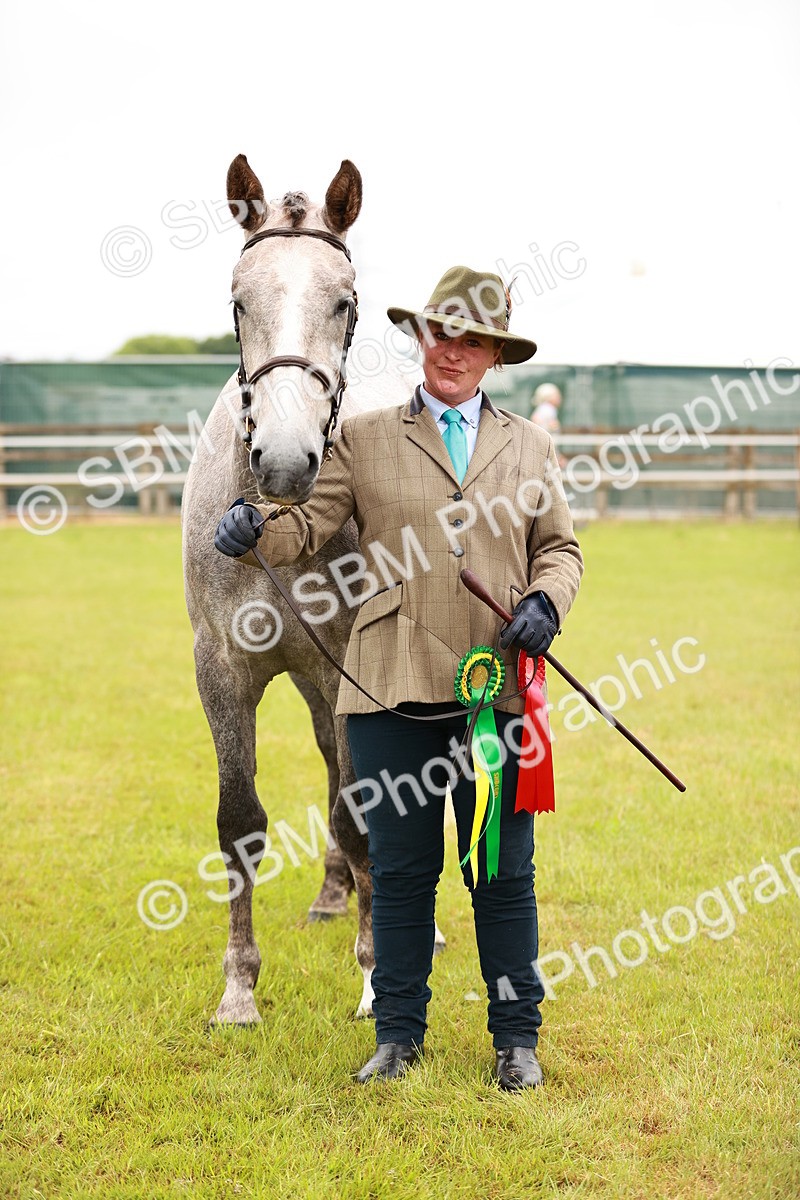 SBM_00730 - Class 26-30 Sport Horse In Hand
