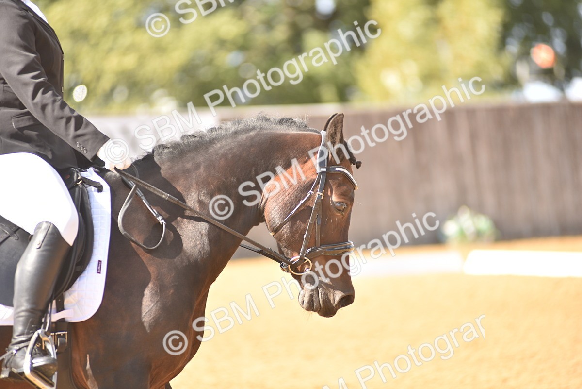 SBM_24189 - D4 - Small Tour Championship Intro 4
