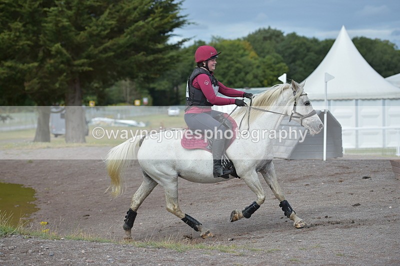 NGP_1234 - XC Time 10:22 to 10:35