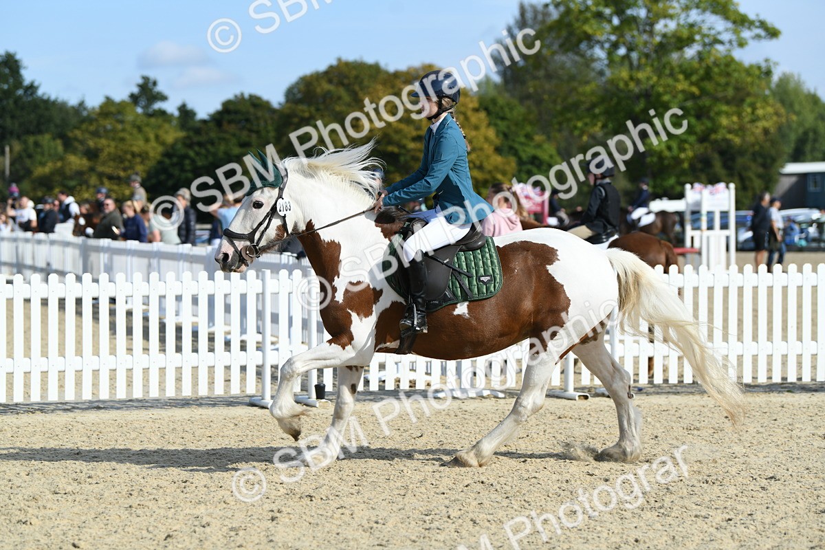 SBM_61584 - j25 - Junior Horse 80cm Championship