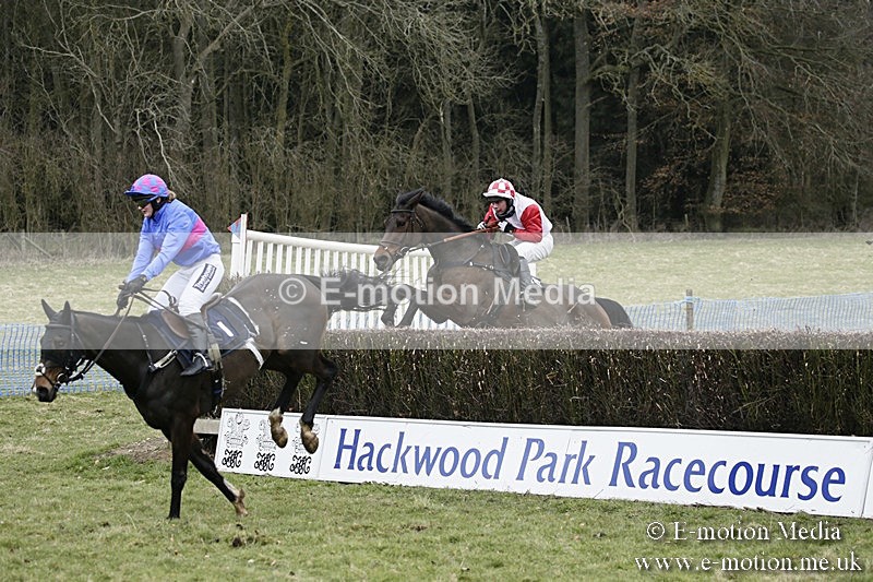 PtP 110318 167 - Hampshire Hunt Point-to-Point Hackwood Park 11/03/18
