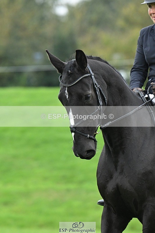 241024-143733-04561 - 418-Georgina.Marks-IM.ON.FIRE