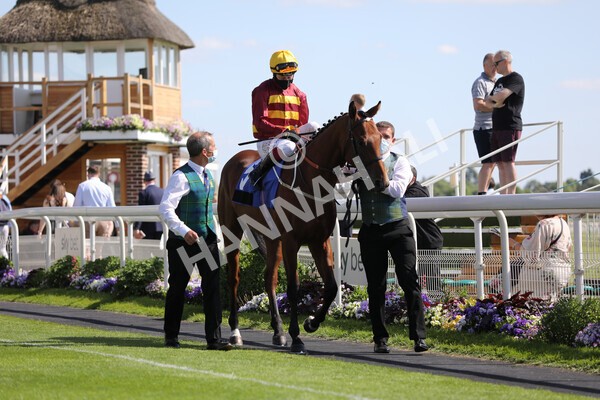 yr12062021r5-10 - Race 5 4.15pm Reg Griffin Appreciation EBFstallions.com Maiden Stakes