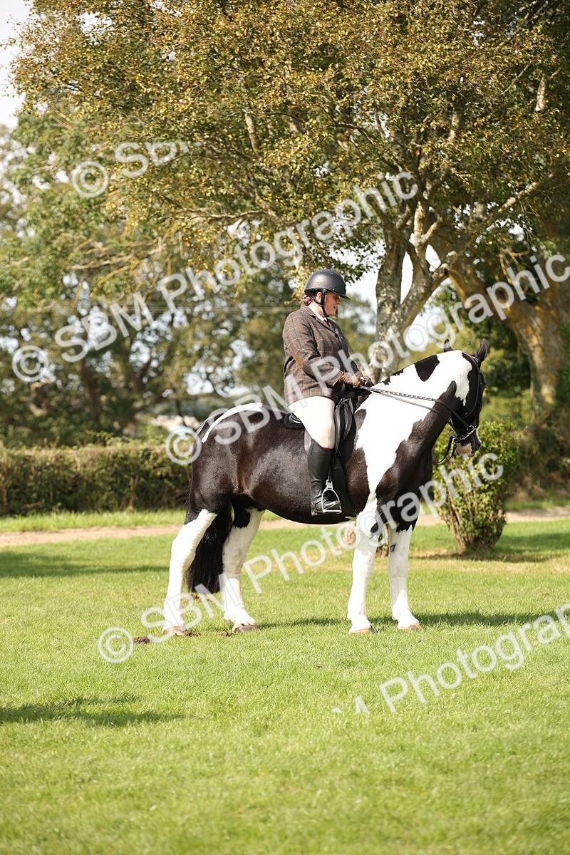 SBM_70106 - S65 - Piebald & Skewbald Horse Ridden