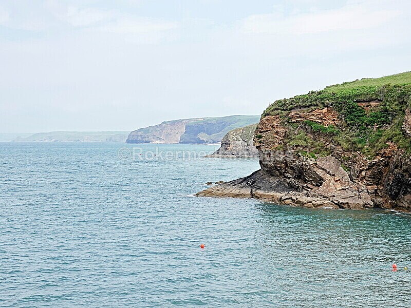 DSC00142 - Skomer 2019