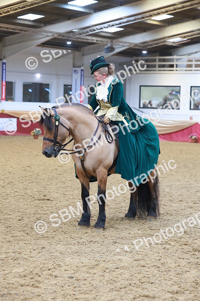 SBM_14814 - Class 108 - Ridden Costume - Astride Adult (20+)