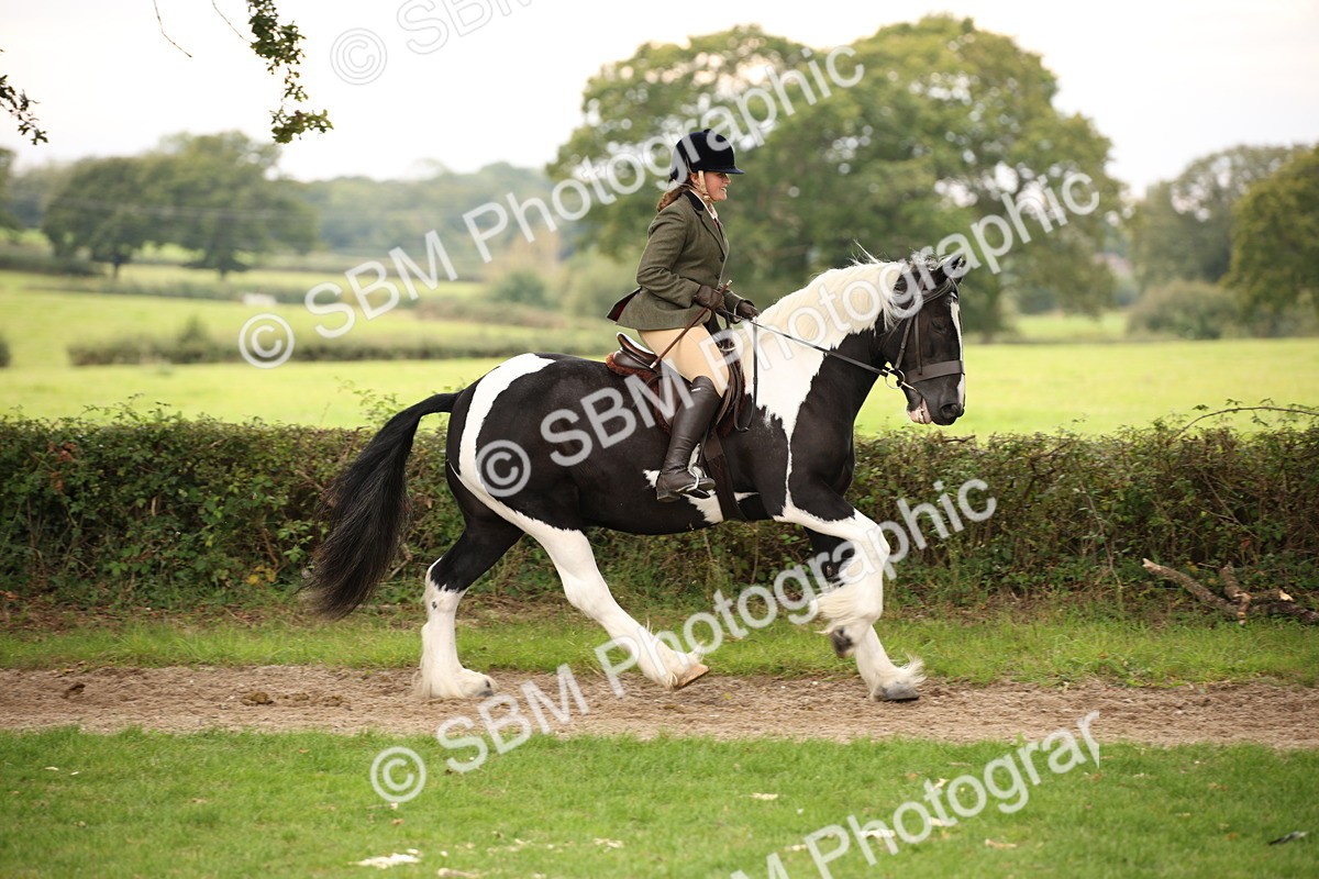 SBM_73440 - S68 - Traditional Cob Ridden