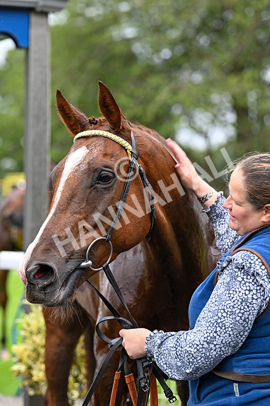 040725-Race 5-Dubai Venture-5776 - Race 5