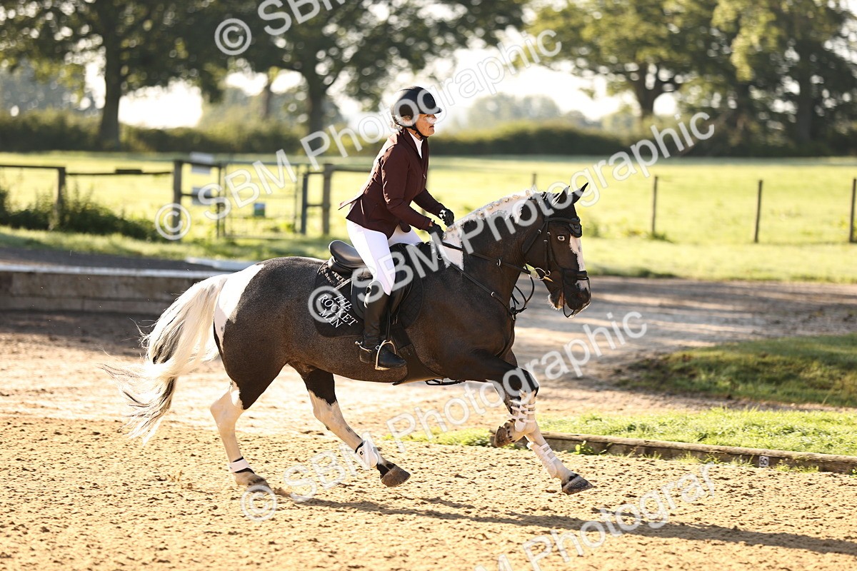 SBM_34721 - J38 - Senior 80cm Championship