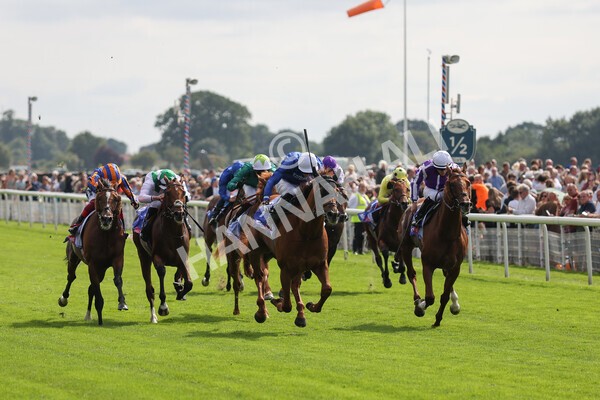 yr18082021r3-53 - Race 3 3.00pm Sky Bet Great Voltigeur Stakes