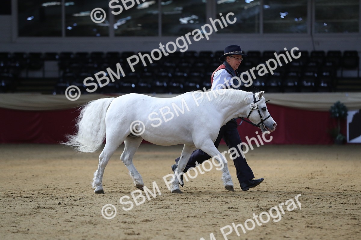 SBM_00524 - class 2a Area IH Veteran
