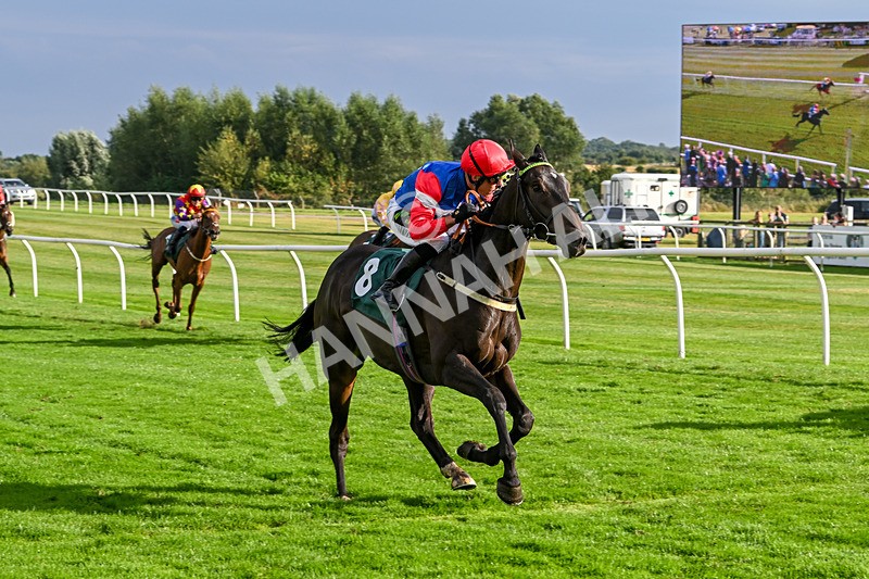 280824-Race 7-Crocodile Power-5084 - Race 7