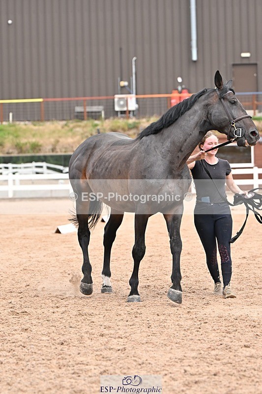 250716-153218-01986 - Trot Up 3.30 to 4.30