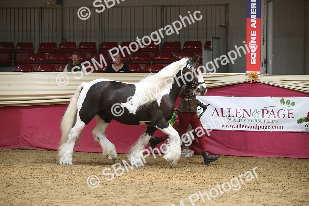 SBM_05557 - Class 9R - Regional IH Pre-Vet