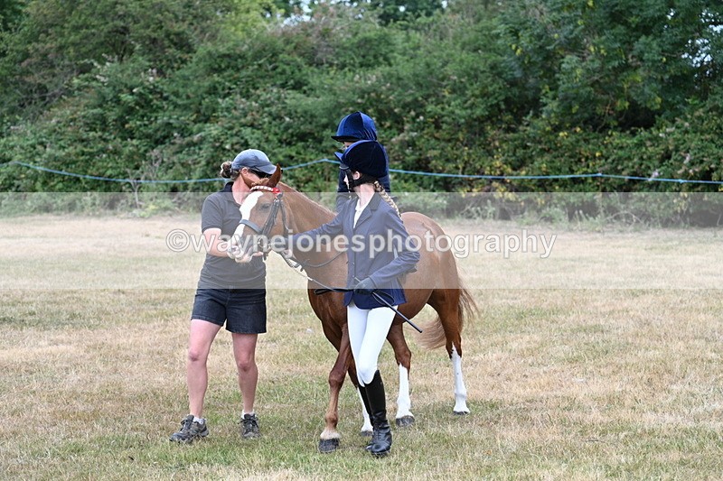 WJ7_9873 - Class 1 Lead Rein Pony