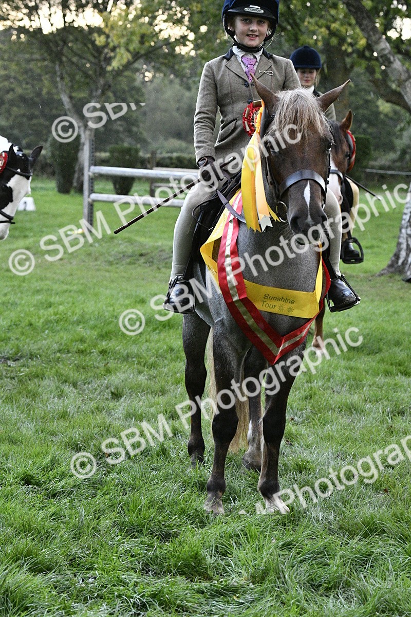 SBM_53346 - S14 - Riding Club Horse