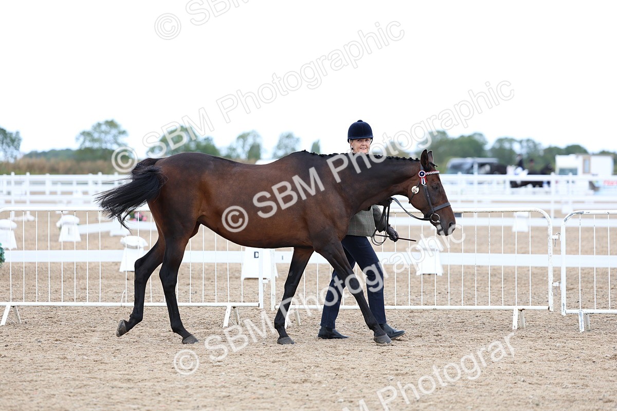SBM_04992 - Class 27 - IH Competition Horse or Pony