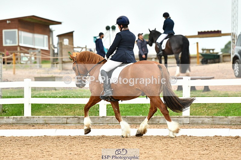 230630A-130358-02275 - Cls 8 Elementary 57