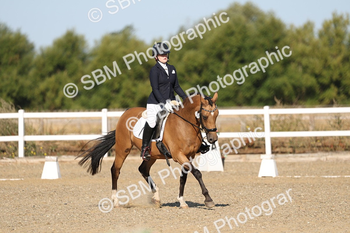 SBM_012613 - Class 1 - P5 Bronze 9.00.10.12