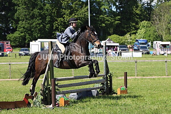 IMG_4545 - Working Hunter