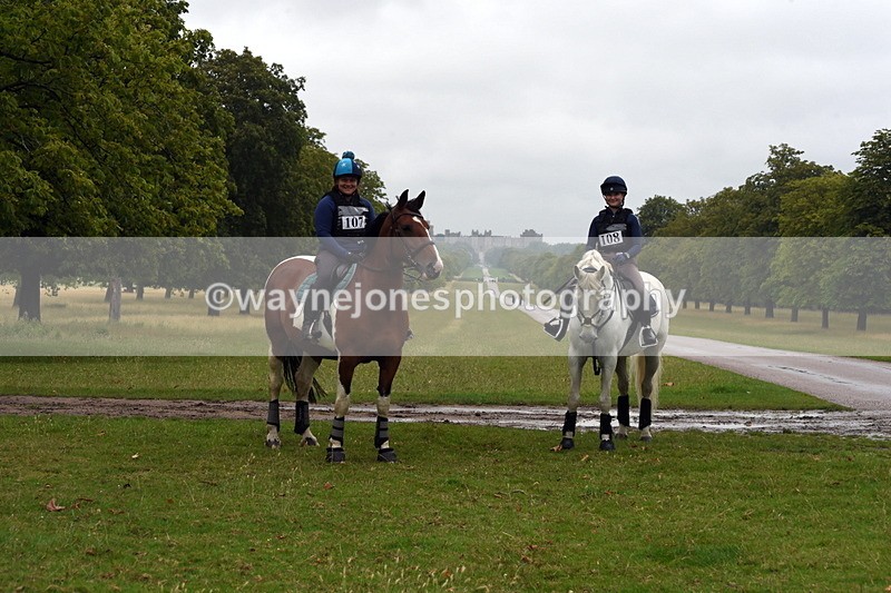 TT3_8128 - Time at Crossing 09:15 to 10:15