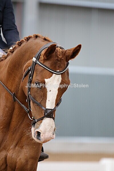 SIAL8442 - GDG Bogenraith Friday 26th Sept 2025