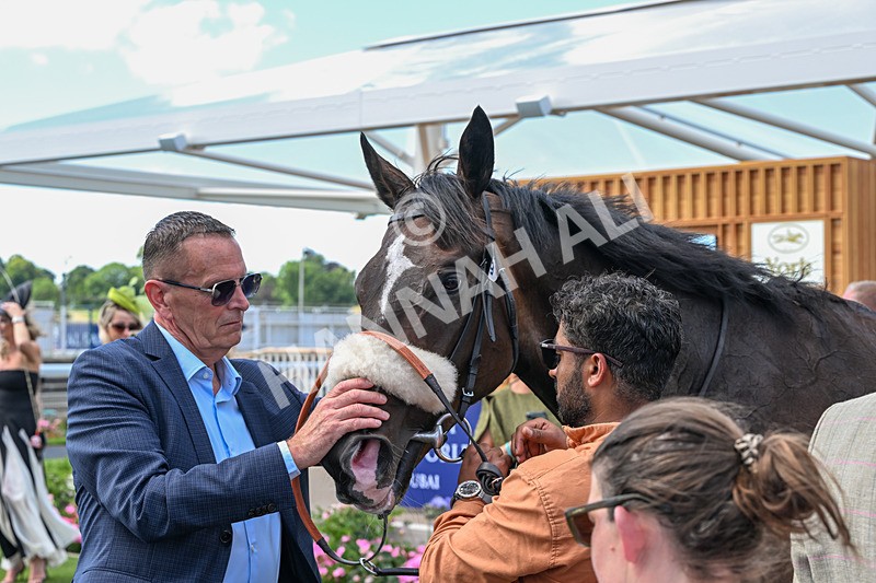 270626-Race 2-Cadarn-3931 - Race 2 13.55pm Al Basti Equiworld Dubai Mile Handicap