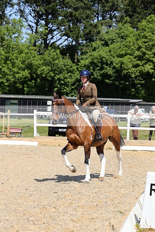 1X9A1580 - Class 10: Ridden Veteran