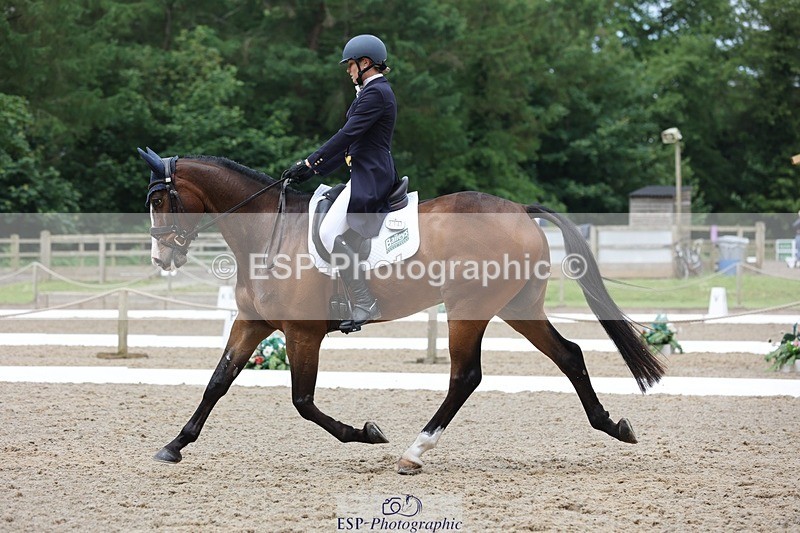 240523-104150-03378 - 214-DSH_GOLDEN_EYE-Lucinda_Mesquita