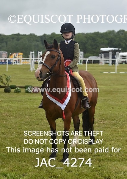 JAC_4274 - WORKING HUNTER CHAMPIONSHIP